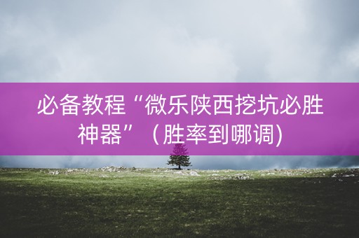 必备教程“微乐陕西挖坑必胜神器”（胜率到哪调)