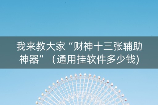 我来教大家“财神十三张辅助神器”（通用挂软件多少钱)