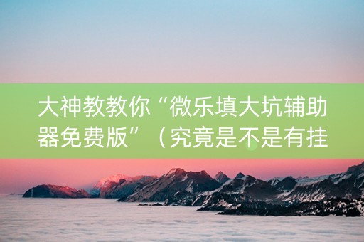 大神教教你“微乐填大坑辅助器免费版”（究竟是不是有挂)