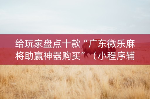 给玩家盘点十款“广东微乐麻将助赢神器购买”（小程序辅助软件)