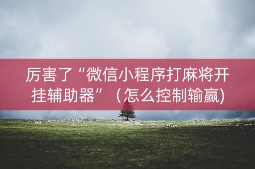 厉害了“微信小程序打麻将开挂辅助器”（怎么控制输赢)