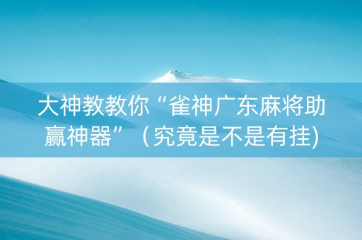 大神教教你“雀神广东麻将助赢神器”（究竟是不是有挂)