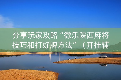 分享玩家攻略“微乐陕西麻将技巧和打好牌方法”（开挂辅助器脚本)