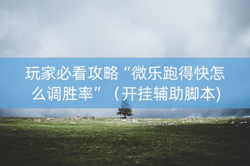 玩家必看攻略“微乐跑得快怎么调胜率”（开挂辅助脚本)