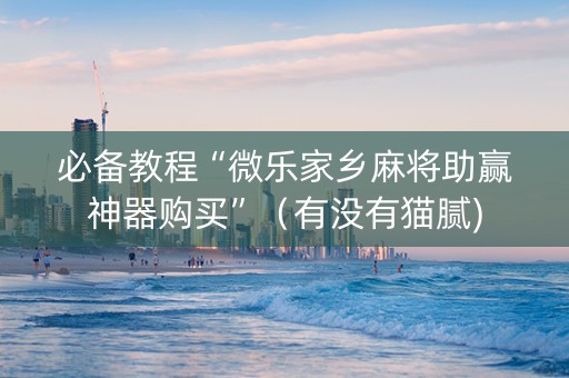 必备教程“微乐家乡麻将助赢神器购买”（有没有猫腻)