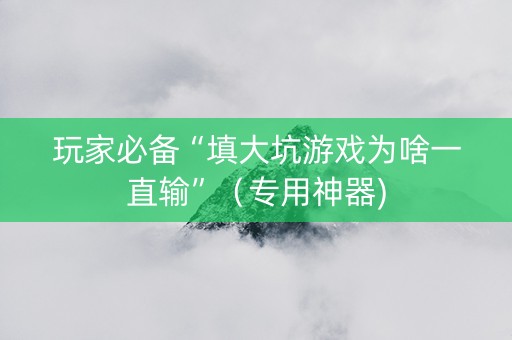 玩家必备“填大坑游戏为啥一直输”（专用神器)