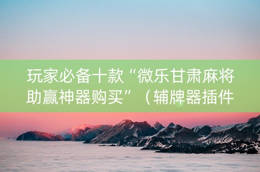 玩家必备十款“微乐甘肃麻将助赢神器购买”（辅牌器插件购买)