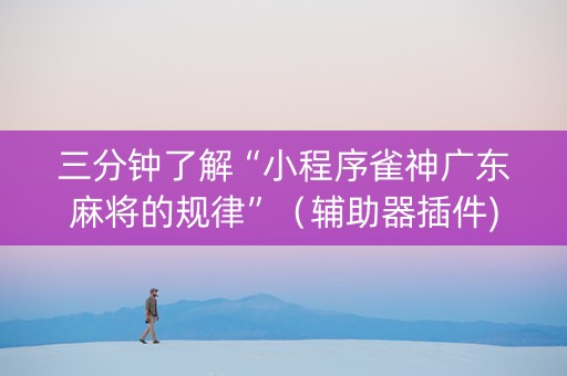 三分钟了解“小程序雀神广东麻将的规律”（辅助器插件)