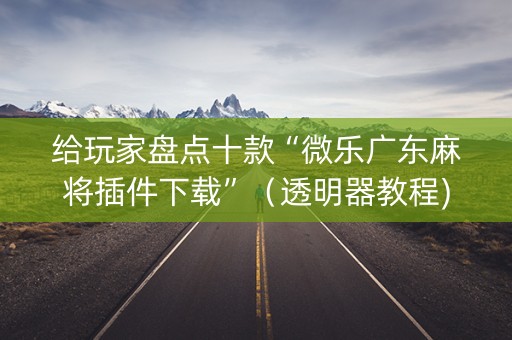 给玩家盘点十款“微乐广东麻将插件下载”（透明器教程)