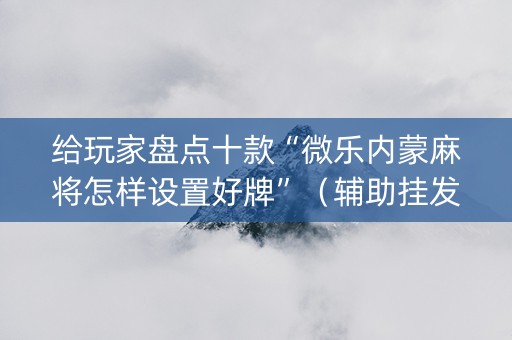 给玩家盘点十款“微乐内蒙麻将怎样设置好牌”（辅助挂发牌规律)
