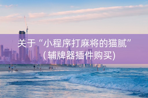 关于“小程序打麻将的猫腻”（辅牌器插件购买)