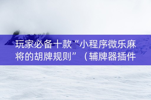玩家必备十款“小程序微乐麻将的胡牌规则”（辅牌器插件购买)