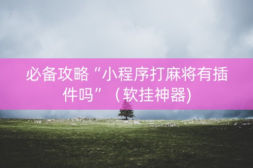 必备攻略“小程序打麻将有插件吗”（软挂神器)
