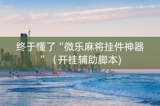 终于懂了“微乐麻将挂件神器”（开挂辅助脚本)