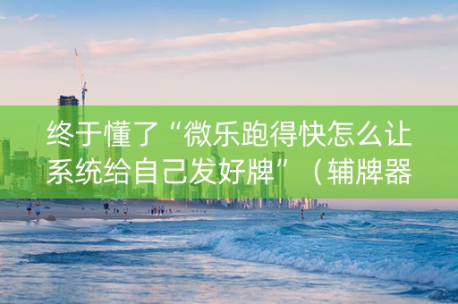 终于懂了“微乐跑得快怎么让系统给自己发好牌”（辅牌器插件购买)