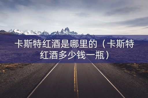 卡斯特红酒是哪里的（卡斯特红酒多少钱一瓶）