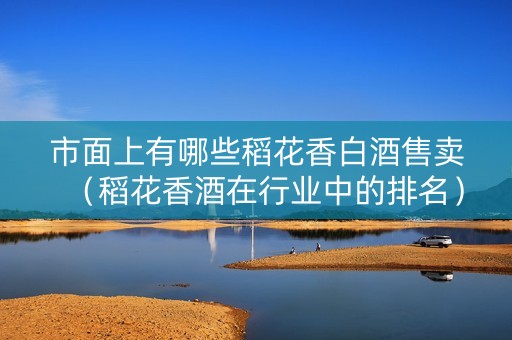 市面上有哪些稻花香白酒售卖（稻花香酒在行业中的排名）