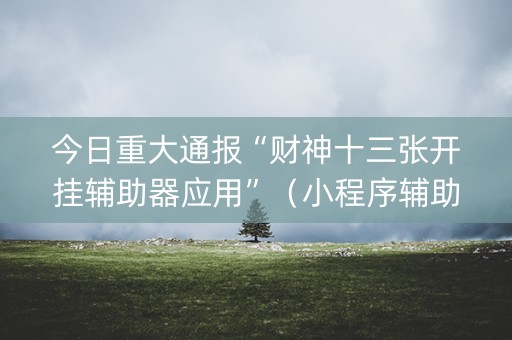 今日重大通报“财神十三张开挂辅助器应用”（小程序辅助软件)