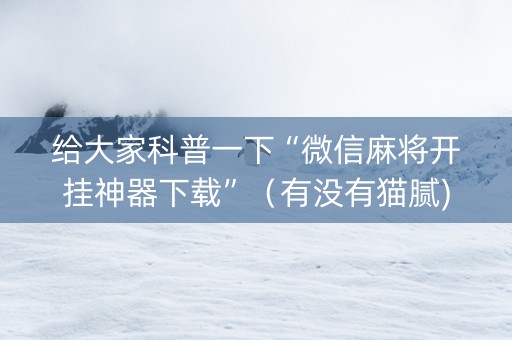 给大家科普一下“微信麻将开挂神器下载”（有没有猫腻)