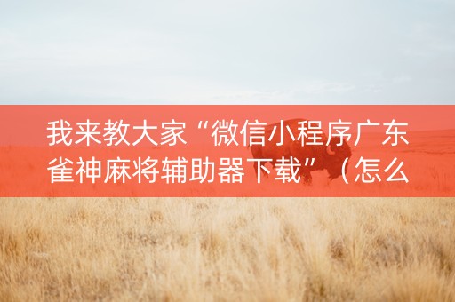 我来教大家“微信小程序广东雀神麻将辅助器下载”（怎么让系统给自己好牌)