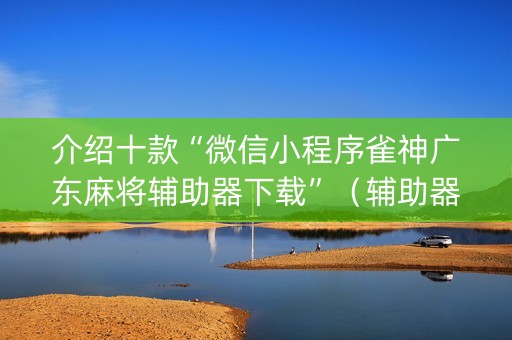 介绍十款“微信小程序雀神广东麻将辅助器下载”（辅助器插件)