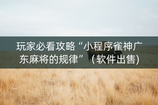 玩家必看攻略“小程序雀神广东麻将的规律”（软件出售)