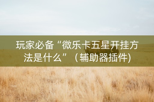 玩家必备“微乐卡五星开挂方法是什么”（辅助器插件)