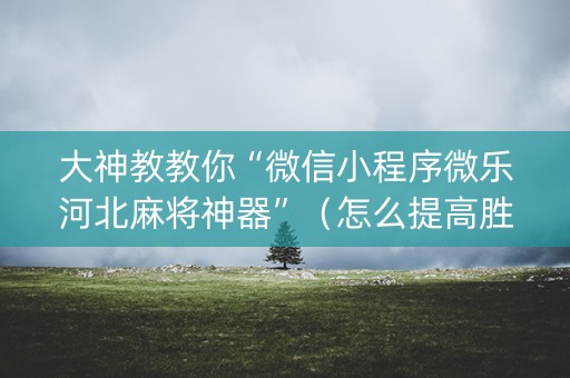 大神教教你“微信小程序微乐河北麻将神器”（怎么提高胜率)