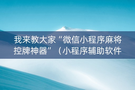 我来教大家“微信小程序麻将控牌神器”（小程序辅助软件)