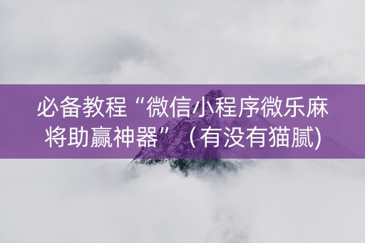 必备教程“微信小程序微乐麻将助赢神器”（有没有猫腻)