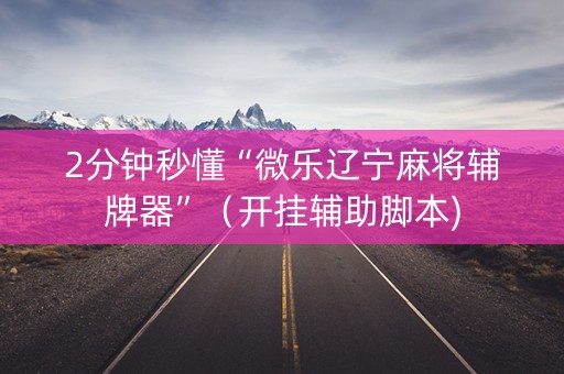 2分钟秒懂“微乐辽宁麻将辅牌器”（开挂辅助脚本)