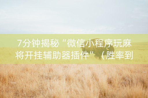 7分钟揭秘“微信小程序玩麻将开挂辅助器插件”（胜率到哪调)
