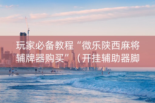 玩家必备教程“微乐陕西麻将辅牌器购买”（开挂辅助器脚本)