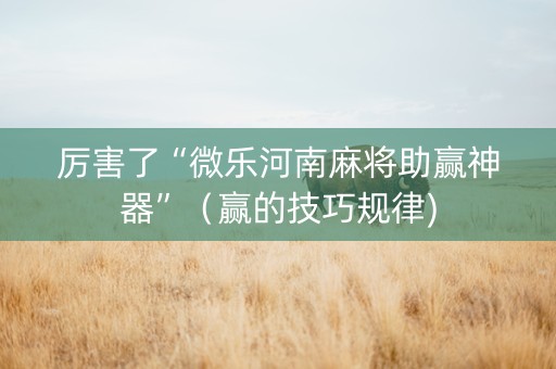 厉害了“微乐河南麻将助赢神器”（赢的技巧规律)