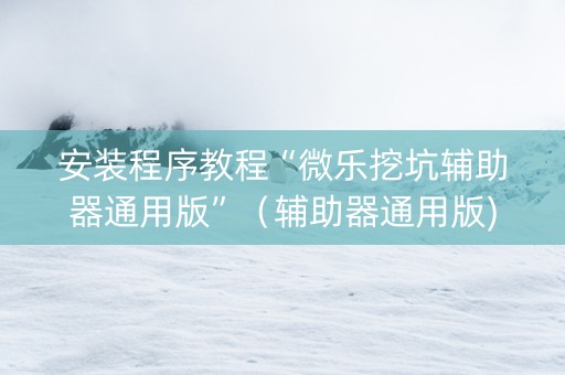 安装程序教程“微乐挖坑辅助器通用版”（辅助器通用版)