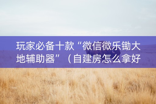玩家必备十款“微信微乐锄大地辅助器”（自建房怎么拿好牌)