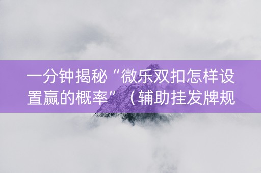 一分钟揭秘“微乐双扣怎样设置赢的概率”（辅助挂发牌规律)