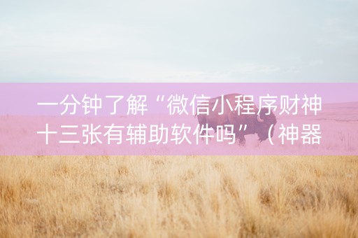 一分钟了解“微信小程序财神十三张有辅助软件吗”（神器最新免费)