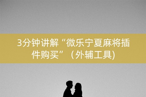 3分钟讲解“微乐宁夏麻将插件购买”（外辅工具)
