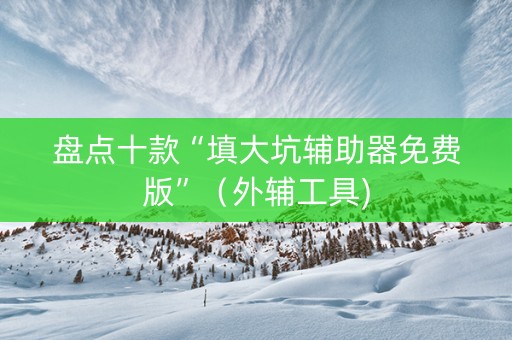 盘点十款“填大坑辅助器免费版”（外辅工具)