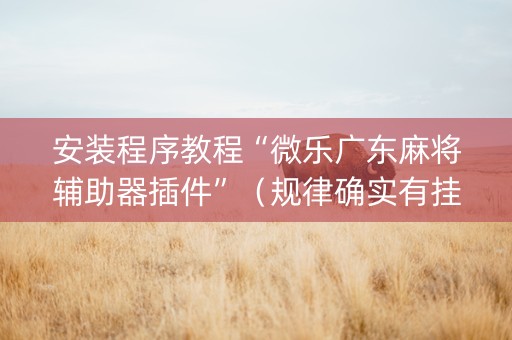 安装程序教程“微乐广东麻将辅助器插件”（规律确实有挂)