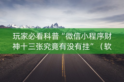 玩家必看科普“微信小程序财神十三张究竟有没有挂”（软挂神器)