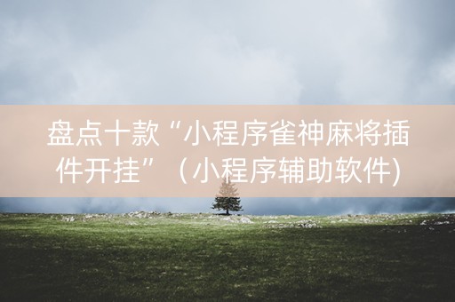 盘点十款“小程序雀神麻将插件开挂”（小程序辅助软件)