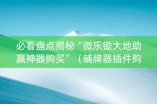 必看盘点揭秘“微乐锄大地助赢神器购买”（辅牌器插件购买)