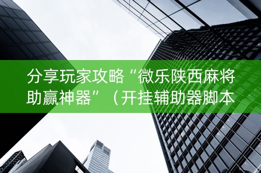 分享玩家攻略“微乐陕西麻将助赢神器”（开挂辅助器脚本)