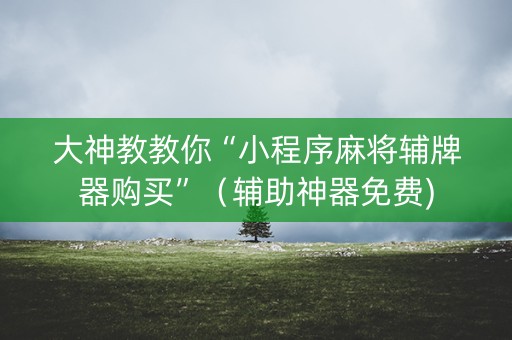 大神教教你“小程序麻将辅牌器购买”（辅助神器免费)