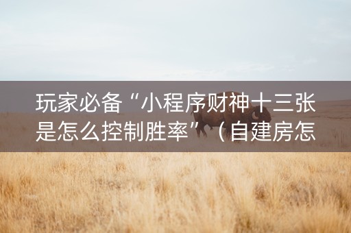 玩家必备“小程序财神十三张是怎么控制胜率”（自建房怎么拿好牌)