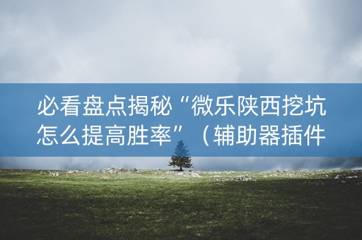 必看盘点揭秘“微乐陕西挖坑怎么提高胜率”（辅助器插件)