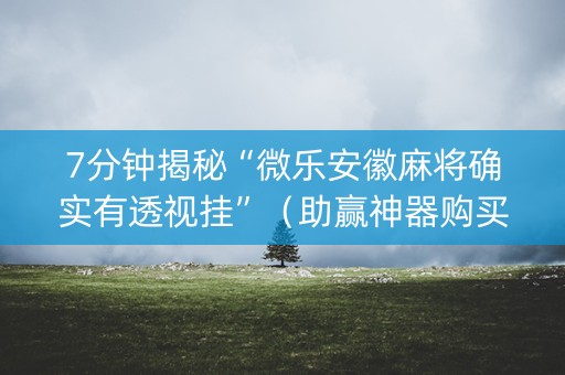 7分钟揭秘“微乐安徽麻将确实有透视挂”（助赢神器购买)