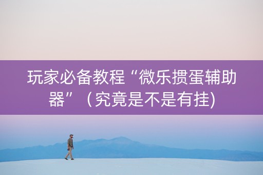 玩家必备教程“微乐掼蛋辅助器”（究竟是不是有挂)